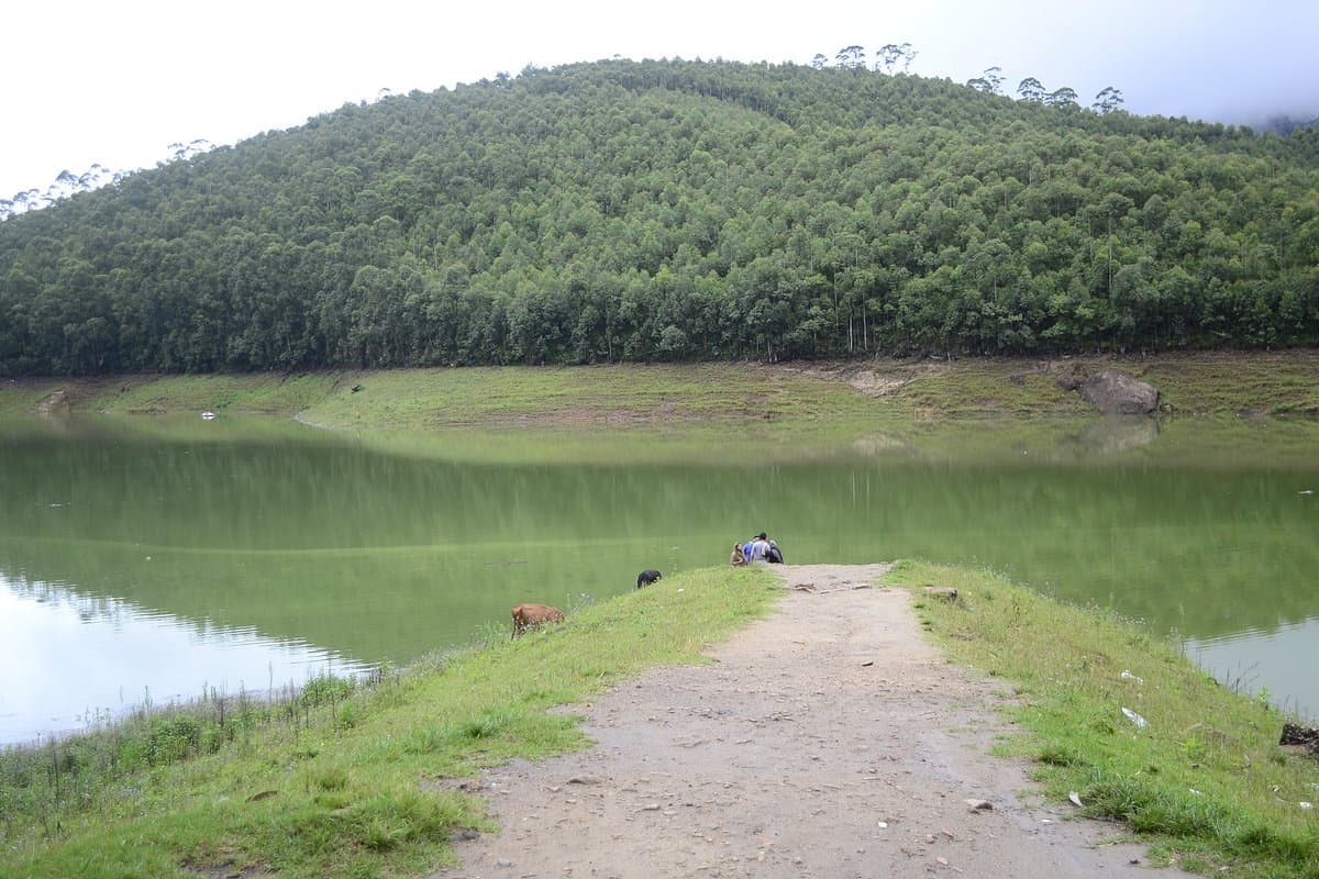 echo point munnar photos